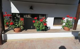 Ana Boutique