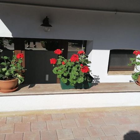 Bed and Breakfast Ana Boutique Alba Iulia Esterno foto