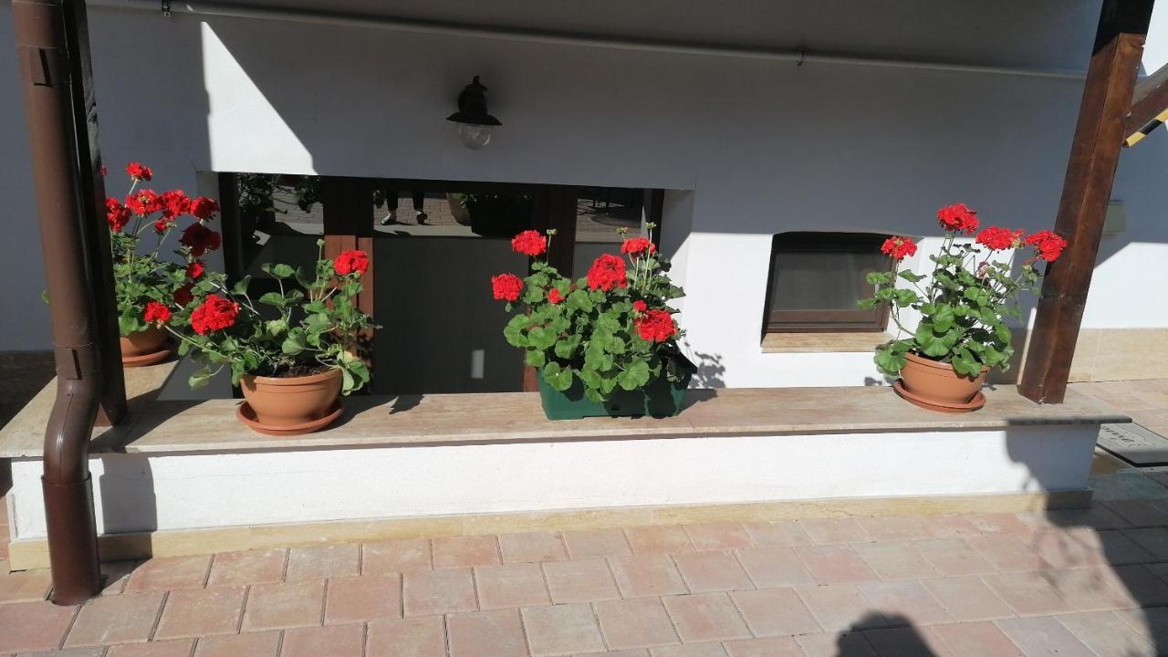 Bed and Breakfast Ana Boutique Alba Iulia Esterno foto